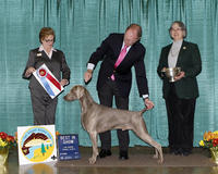 San Joaquin Kennel Club Annual Dog Show