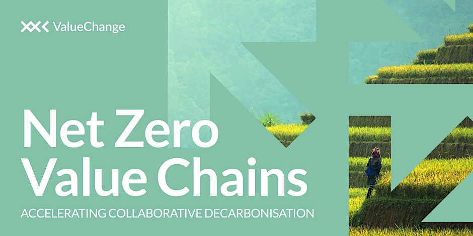 Net Zero Value Chains