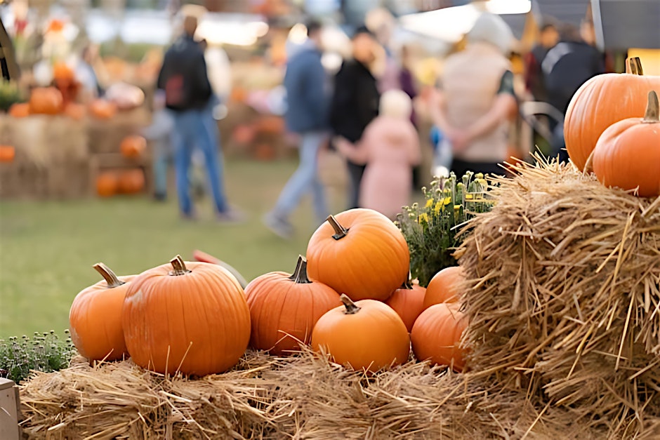 Fall Fest & Local Best: A Community Event