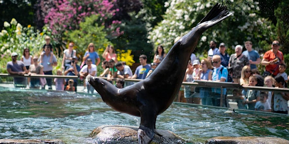 Dream Night at The Central Park Zoo